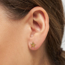 Indlæs billede til gallerivisning LULU COPENHAGEN STARFISH GOLD
